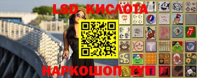 хмурый Кингисепп