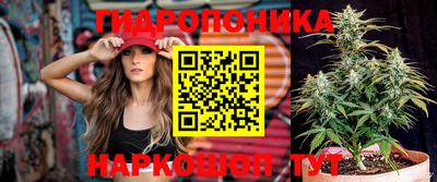 хмурый Кингисепп