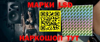 хмурый Кингисепп